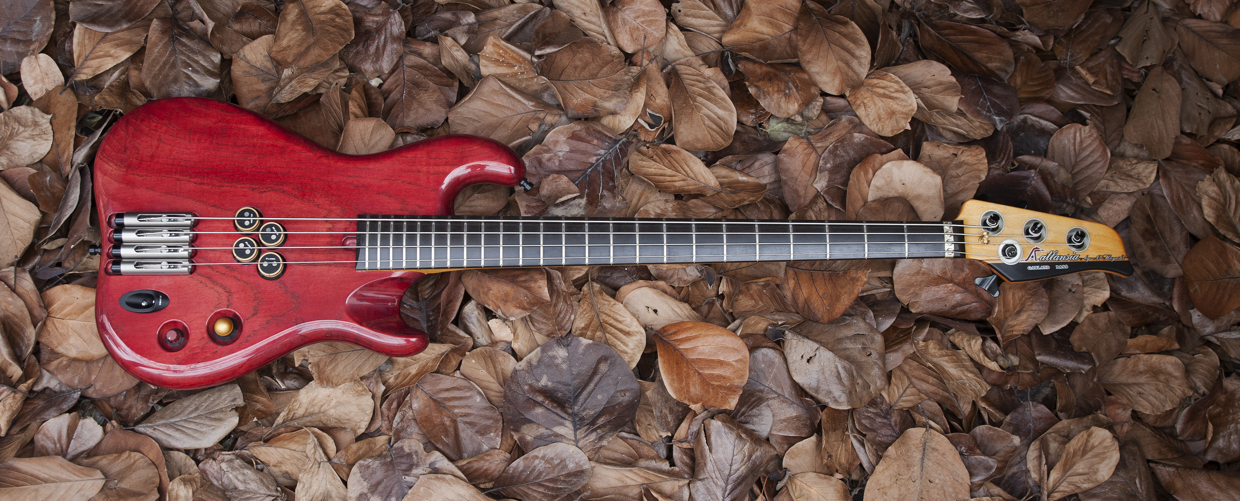 ATLANSIA 弱々しかっ Dualist 2弦 フレットレス レフティ 右利きの方も 