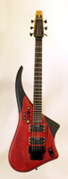 #ORDER.66 PEGASUS 2HB GUITAR 